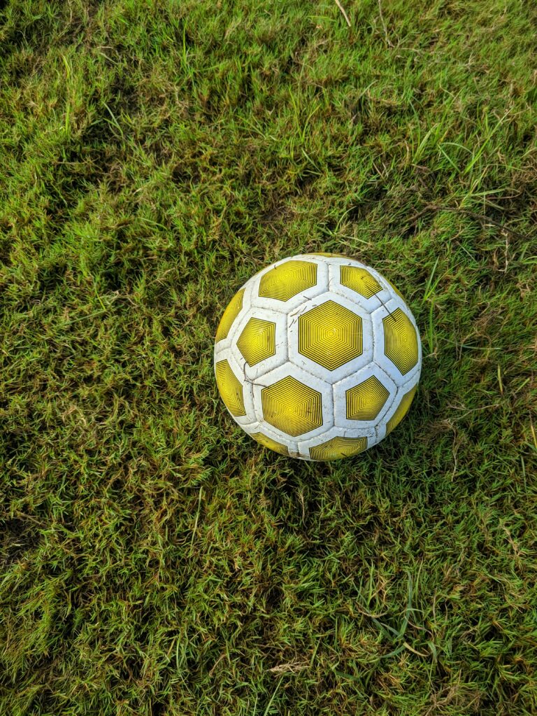 Lire la suite à propos de l’article Totale Régie aux commandes des espaces extérieures du Ballon d’Or 2024